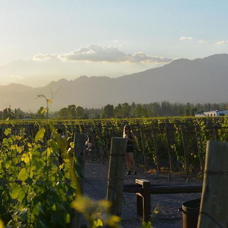 Viamonte Winery Lodge تشاكراس دي كوريا المظهر الخارجي الصورة