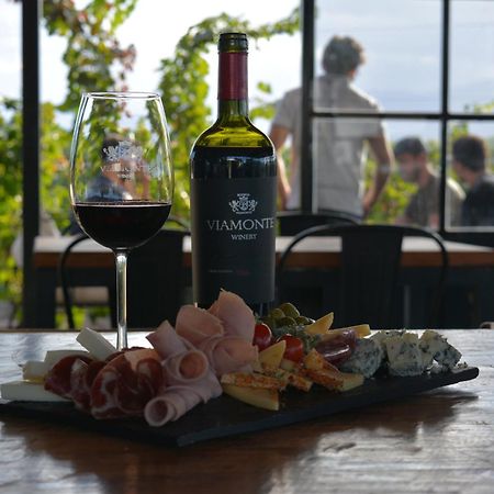 Viamonte Winery Lodge تشاكراس دي كوريا المظهر الخارجي الصورة