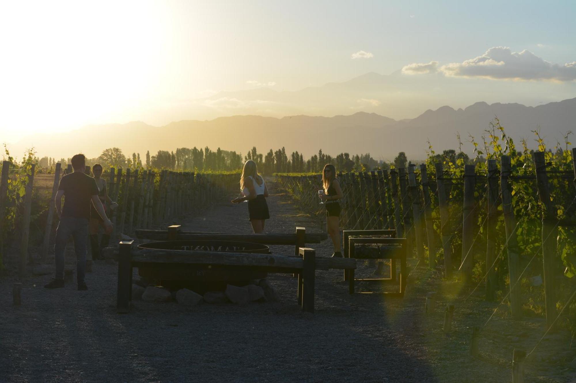 Viamonte Winery Lodge تشاكراس دي كوريا المظهر الخارجي الصورة