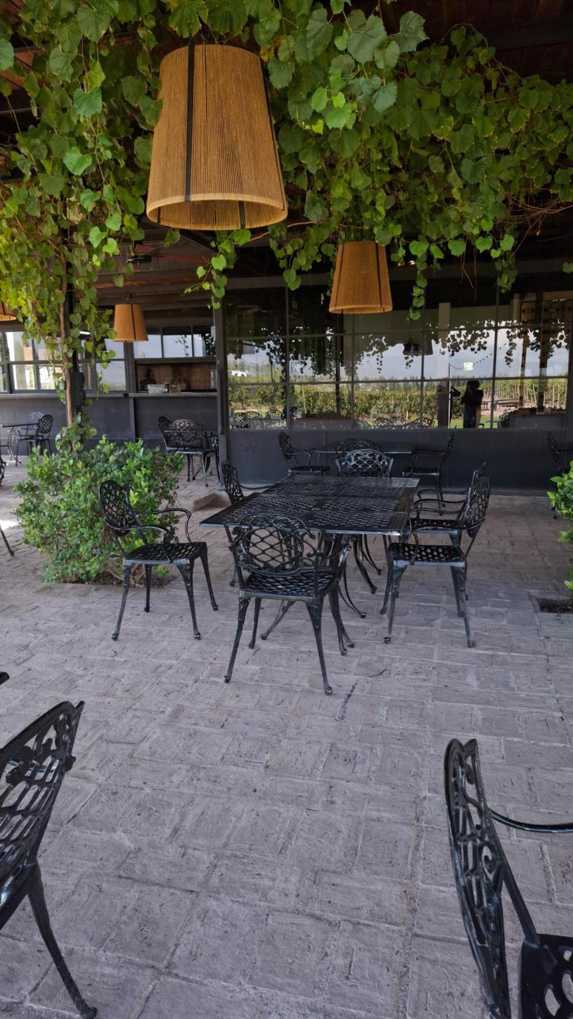 Viamonte Winery Lodge تشاكراس دي كوريا المظهر الخارجي الصورة