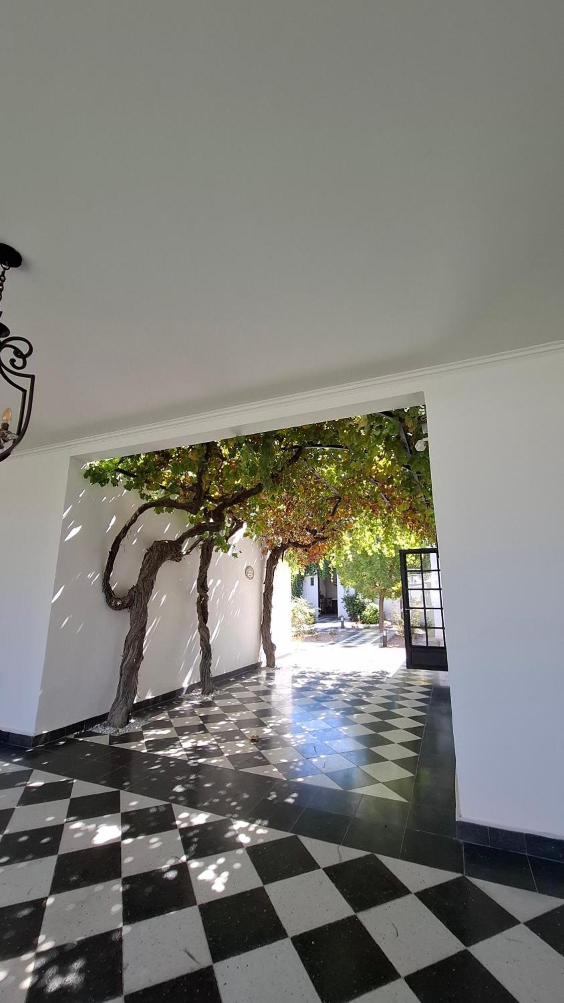 Viamonte Winery Lodge تشاكراس دي كوريا المظهر الخارجي الصورة